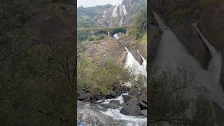 Dudhsagar waterfall in Goa ⛲️🏖️🏖️ shorts travel waterfall goa india [upl. by Wessling]