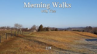 Morning Walks with Yizz 239 [upl. by Ettelohcin766]