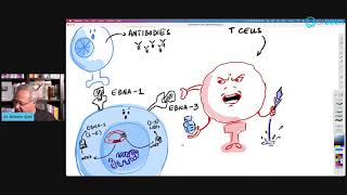 Epstein Barr Virus EBV Serology [upl. by Denae199]