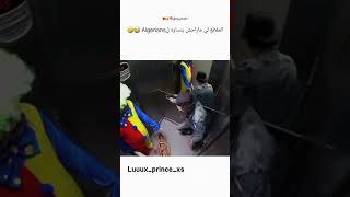 ضحك dz اكسبلور algeria funny algerie ترند algerien memes جزاءر الجزائر [upl. by Lauro]