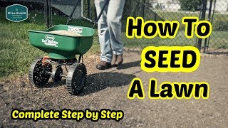 How To Seed a Lawn  Complete Step By Step Guide [upl. by Alyt204]