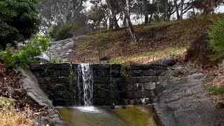 Year 12 Victim Faces Maribyrnong River Bike Trail [upl. by Killigrew496]