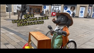 KonsT  ein Elefant fährt auf einem Fahrrad durch Innenstadt in Wiesbaden [upl. by Glimp533]