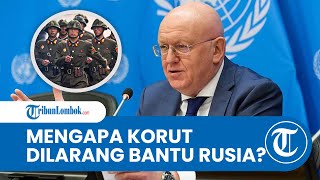 Rusia Bertanya di PBB Jika Barat Bantu Ukraina Mengapa Korea Utara Dilarang Bantu Kita [upl. by Bokaj]