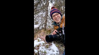 The Mighty Sphagnum Moss  The Northern Peatlands Project  Twolined Tracks Episode 1 [upl. by Hennahane]