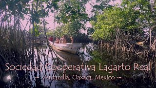 Rebuilding a mangrove swamp in La Ventanilla Oaxaca Mexico English subtitles [upl. by Arrej]