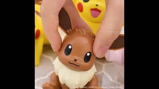 Pokémon Model Kit Quick EEVEE short PV [upl. by Gilmore]