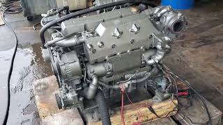 Yanmar 4LHA STP live running [upl. by Aniretake187]