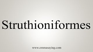 How To Say Struthioniformes [upl. by Ebba]