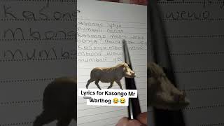 Kasongo Mr warthog warthog kasongo wildlife animals viralvideo viralshort [upl. by Hillery]