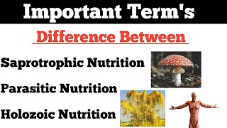 Nutrition Saprotrophic Nutrition  Parasitic Nutrition  Holozoic Nutrition  By Dadhich Sir [upl. by Panthia769]