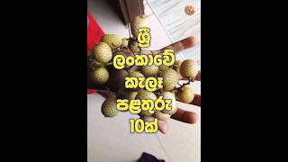 ශ්‍රී ලංකාවේ කැලෑ පළතුරු 10ක්😮😮 [upl. by Llenoj]