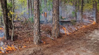 Prescribed Fire with Clemson Extension [upl. by Sinaj389]