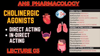 Cholinergic Agonists  Parasympathomimetic Drugs  Direct Acting amp indirect acting  L3 [upl. by Just333]