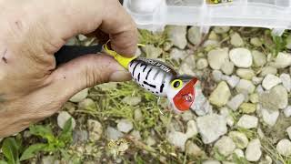 Types of Lures for Bass [upl. by Nelrsa]