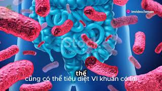 Giải mã bí mật về đường ruột của bạn Cách chúng hoạt động và cách giữ cho chúng khỏe mạnh [upl. by Nyliak]