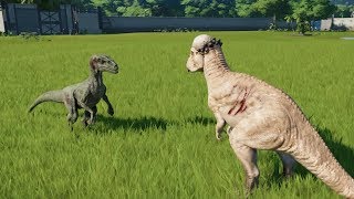 Pachycephalosaurus VS Velociraptor  Jurassic World Evolution [upl. by Yolande604]