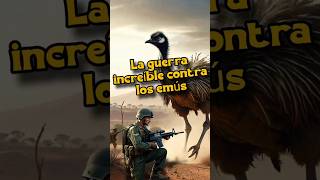 La guerra increíble contra los emús [upl. by Cinomod]