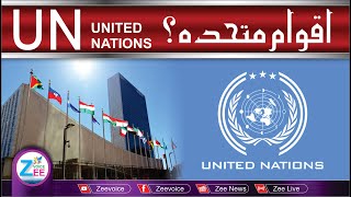 United Nations  UN  Security Council  Education  Teaching  Knowledge  Zee Voice [upl. by Grados]