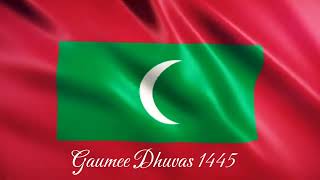 Gaumee Dhuvas 1445  Bandhi  Wafa [upl. by Akehsal]