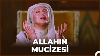 Züleyhanın Güzelleşme Mucizesi  Hz Yusuf 39 Bölüm [upl. by Ronacin]