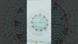 Cell Biology Experiment Diagram cellbiology shortvideo [upl. by Ideih452]