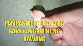 PAMPASWERTE SA PERA GAMIT ANG ISANG BUTIL NG BAWANG  ILAGAY NA NGAYON ITO SA IYONG WALLET [upl. by Wyne17]