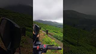 Koduva Karanam Estate PeermadeIdukkiKerala youtube koduva travel explore explorepage [upl. by Care965]