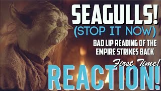 THIS IS GOOD I ❤️ IT🤣SEAGULLSStop It Now Bad Lip ReadingFirst Time  Reaction🔥 [upl. by Nave]