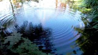 Ripples on a pond [upl. by Cannell]