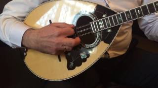 6 String Bouzouki by Stasinopoulos  Australia [upl. by Franek]