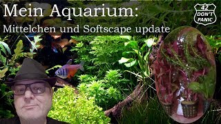 Mittelchen und Softscape update  Filterbakterien Wasseraufbereiter und Pflanzen  Mein Aquarium 8 [upl. by Raven]