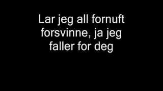 Tine  Vil Ha Deg Lyrics [upl. by Aicirtal]