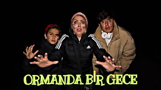 ORMANDA BİR GECE GEÇİRMEK  AYI KOVALADI [upl. by Zilber]