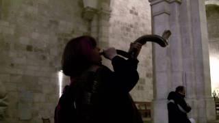 Linda playing sounding blowing Shofar in Israel Part 2 of 2f4v Jerusalem Israel expert rams horn [upl. by Akcirehs]