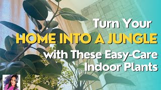 ගෙදර ඇතුළ තවත් ලස්සන කරන පැල බලා ගන්න හැටි 🌱👌Easy Care Indoor Plants Tips and Tricks for Beginners 🌿 [upl. by Lorie]