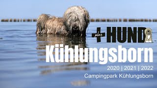 Campingpark Kühlungsborn 2020 2021 amp 2022 Camping mit Hund [upl. by Ayin]