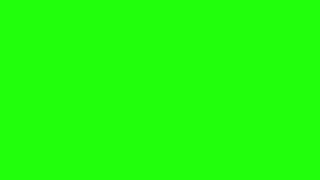 Camera flash green screen with sound effect NO COPYRIGHT [upl. by Bjorn]