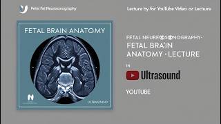 Fetal Neurosonography Fetal Brain Anatomy [upl. by Wanfried517]