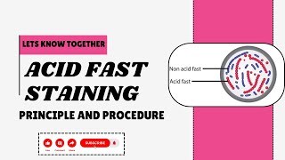 quotAcid Fast Stainingquot staining method [upl. by Aicilehp]