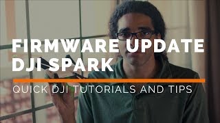 DJI Spark How To Update Your Firmware [upl. by Ynohtnaleahcim]