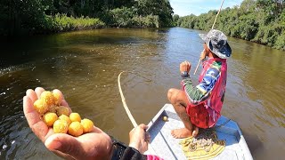 USEI A TÉCNICA PRIMITIVA DO RIBEIRINHO Pescando com os nativos da Amazônia [upl. by Cassidy528]