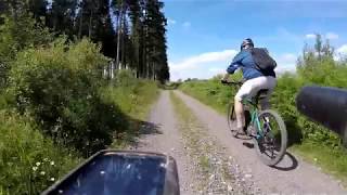 Mountainbike tocht Baraque fraiture  Vielsalm en terug 21062018 [upl. by Blackmore]