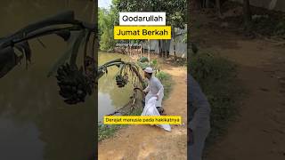 Qodarullah Jumad Berkah iman amal islam gurungaji jumadberkah shorts [upl. by Ondrej]