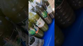 Engrais et insecticide bio 100 Naturel  Made in Mali nature farming garden agriculture [upl. by Xila]