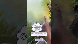 Cubpi teaches everyone how to retrieve objects that fall into the water Hilarious videotoys funny [upl. by Celka]