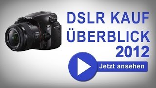 Welche Spiegelreflexkamera soll ich als Einsteiger kaufen Canon vs Nikon [upl. by Kcirad686]