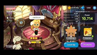 Sparkling Cookie Voice Over Dub English  Japanese  Korean  Cookie Run Kingdom [upl. by Attekahs691]