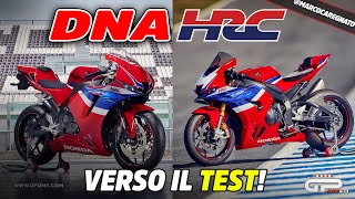 Honda CBR 600 RR amp 1000 RRR SP 2024 il DNA di HRC non mente [upl. by Barthold939]