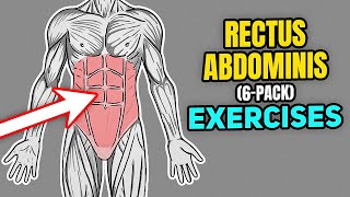 How to Strengthen Your Rectus Abdominis 6Pack Muscle [upl. by Asyl105]